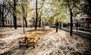 Parka sols Lodz DUO ar roku balstiem