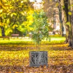 Pilsētas puķu pods Neapole 80 l