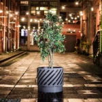 Pilsētas puķu pods Split 80 l